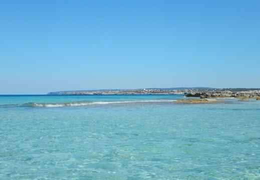 DSCN0812
